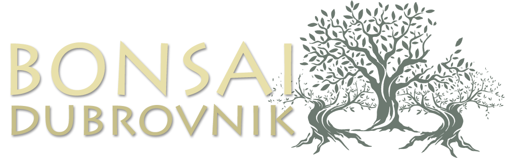 Bonsai Dubrovnik